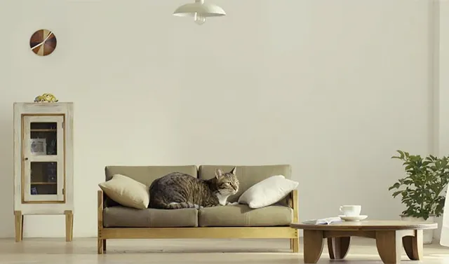 Thích thú với những món đồ nội thất bé xíu cho loài mèo - Ảnh 6.
