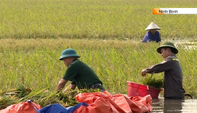 104 người thiệt mạng và mất tích do mưa lũ ở miền Bắc và Bắc Trung Bộ - Ảnh 1.