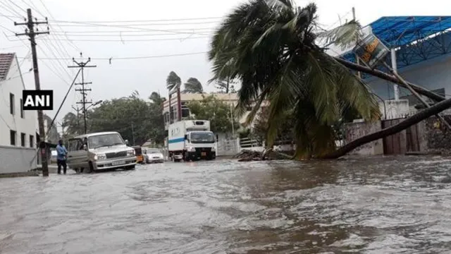 Bão Ockhi gây thiệt hại tại Ấn Độ và Sri Lanka - Ảnh 1.