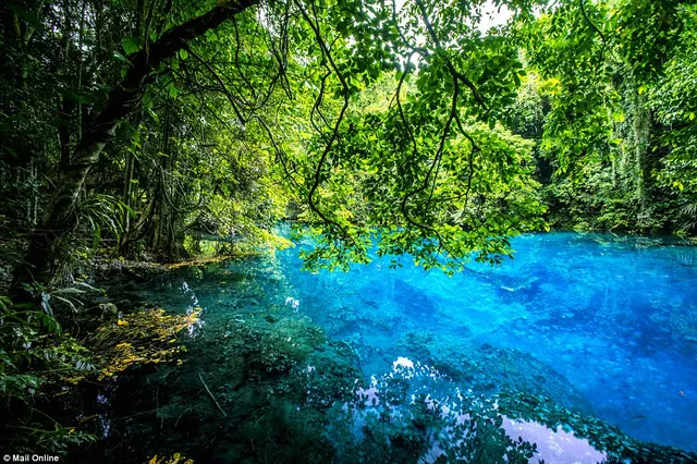 Vanuatu - thiên đường đáng sống bậc nhất hành tinh - Ảnh 2.