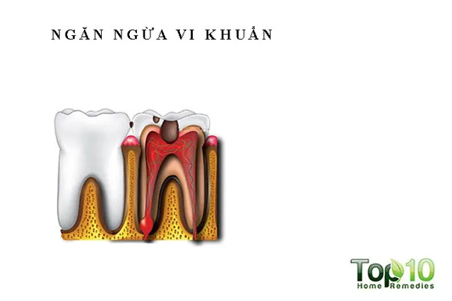 10 lợi ích sức khoẻ của rượu vang đỏ - Ảnh 4.