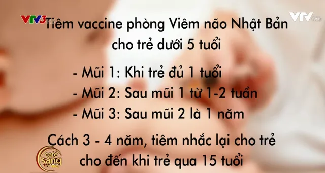 Viêm não Nhật Bản: Nguyên nhân, triệu chứng và cách chữa bệnh - Ảnh 1.