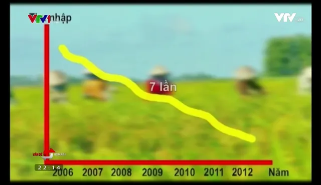 Việt Nam không thể tiếp tục sản xuất, xuất khẩu gạo bằng mọi giá - Ảnh 2.