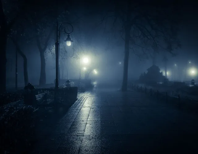 Thị trấn Opole, Ba Lan đẹp huyền ảo về đêm trong sương mù - Ảnh 8.