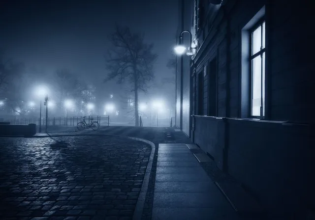 Thị trấn Opole, Ba Lan đẹp huyền ảo về đêm trong sương mù - Ảnh 5.