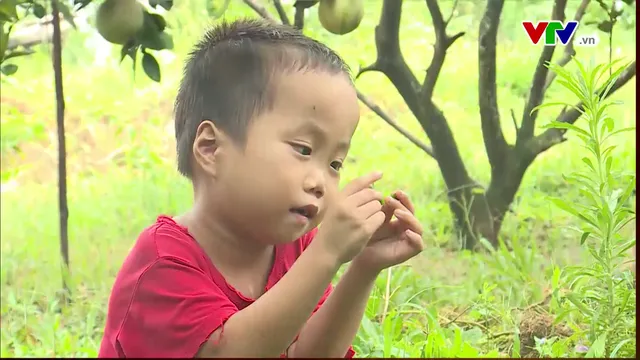 Cuộc sống của em Hoàng bước sang trang mới sau 3 ca mổ tim - Ảnh 1.