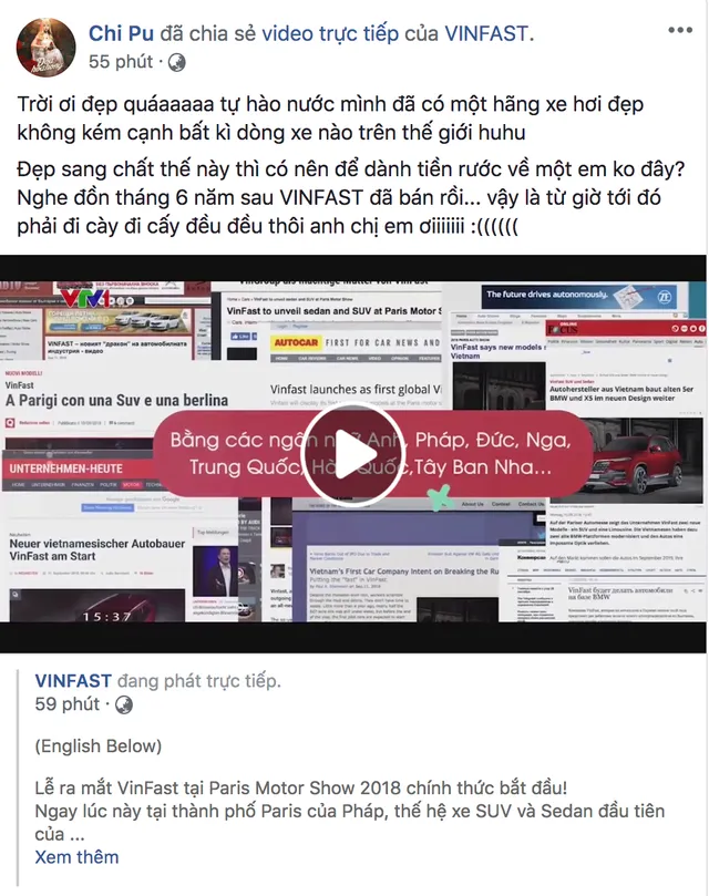 Cơn bão mang tên VinFast “càn quét” cộng đồng mạng - Ảnh 1.