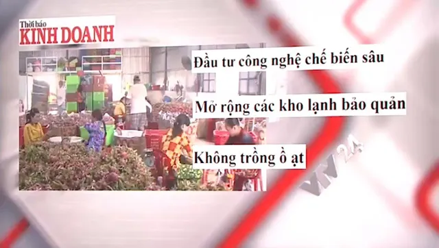 Thanh long vứt bỏ do cung quá cầu - Vẫn là bài toán quy hoạch - Ảnh 1.