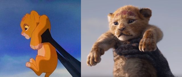 Hé lộ những hình ảnh đầu tiên của “Lion King” phiên bản điện ảnh - Ảnh 1.