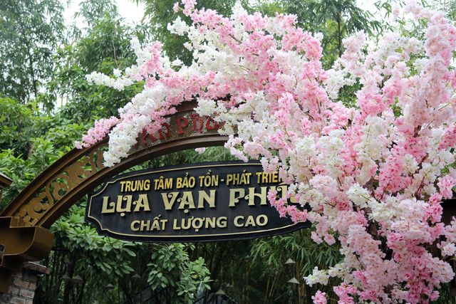 Tuyến phố sống ảo vạn người mê ngay tại làng lụa Vạn Phúc - Ảnh 15.