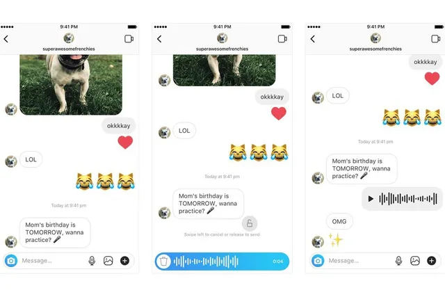 Người dùng Instagram có thể nhắn tin bằng giọng nói trên Android và iOS - Ảnh 1.