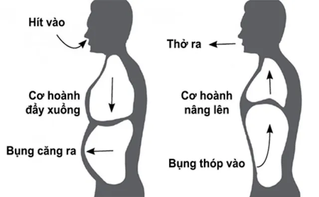 5 bài tập tại nhà người bệnh hen suyễn, COPD nào cũng phải biết - Ảnh 2. 5 bài tập tại nhà người bệnh hen suyễn, COPD nào cũng phải biết - Ảnh 2.