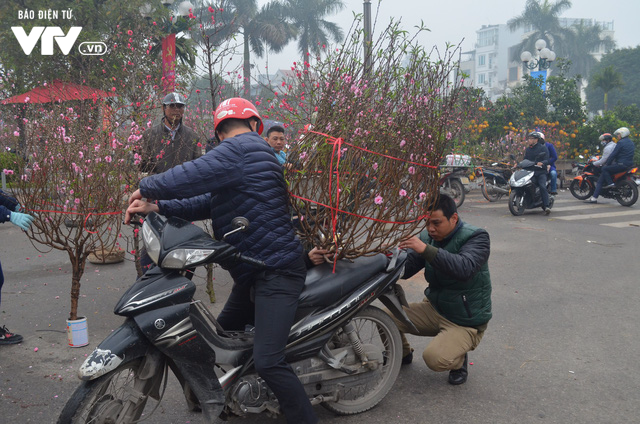 Người dân nô nức sắm đào, quất chơi Tết - Ảnh 5.