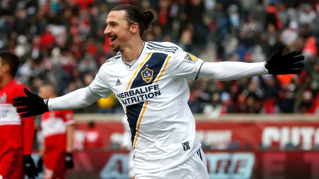 ibrahimovic ibrahimovic