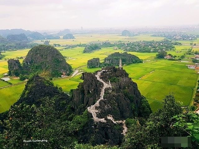 Hang Múa đẹp mê mẩn giữa cố đô Hoa Lư mùa lúa xanh - Ảnh 3.