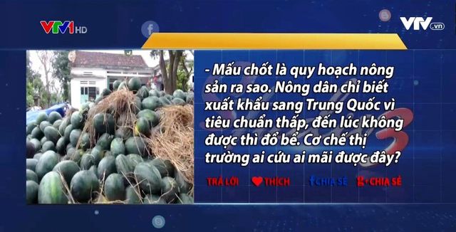 “Giải cứu” nông sản lại trở thành điệp khúc thường niên - Ảnh 1.