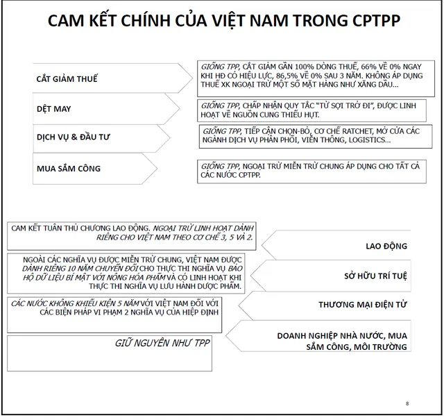 Cơ hội và thách thức từ CPTPP đã trở nên gần hơn bao giờ hết - Ảnh 4.