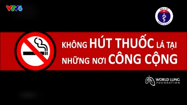 Mỗi năm có 40.000 người Việt Nam tử vong sớm do thuốc lá! - Ảnh 3.