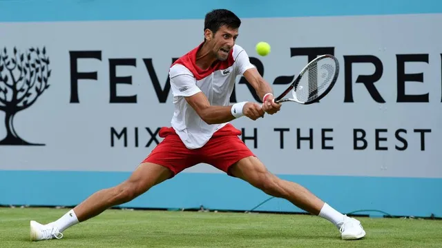 Vượt qua Chardy, Djokovic hẹn Cilic tại chung kết Queens Club - Ảnh 3.