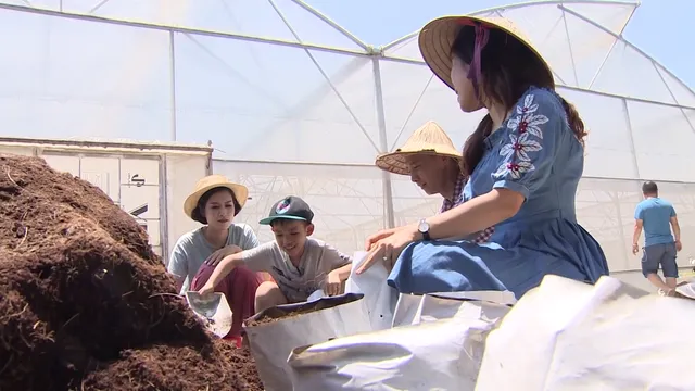 Cùng mẹ con cô Nguyệt trong “Phía trước là bầu trời” khám phá thiên đường dưa lưới! - Ảnh 2.