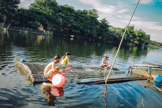 Thừa Thiên Huế: Cá lồng nuôi chết hàng loạt dọc sông Bồ - Ảnh 2.