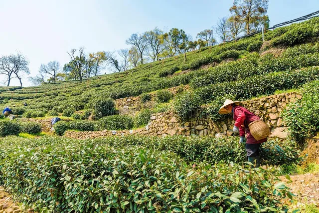 Trung Quốc nỗ lực kéo lao động về các vùng quê‎ - Ảnh 1.