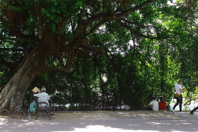 Những không gian xanh tránh nóng ngày hè ở Hà Nội - Ảnh 1.