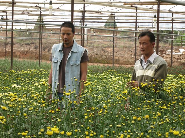 Điểm danh dàn diễn viên trong phim Việt mới Trang trại hoa hồng - Ảnh 1.