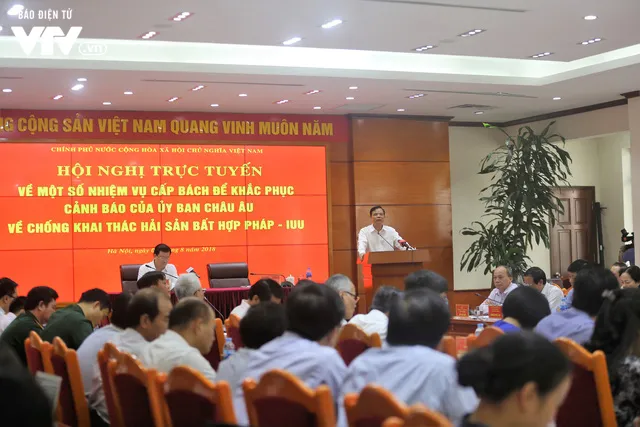 Triển khai tổng thể các giải pháp nhằm tháo gỡ “thẻ vàng” của EC cho thủy sản Việt Nam - Ảnh 3.