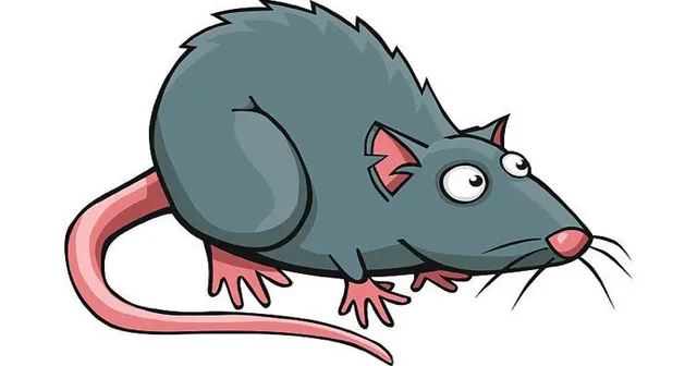 Tháng cô hồn, những con giáp nào gặp may mắn và nhiều tài lộc? - Ảnh 1.