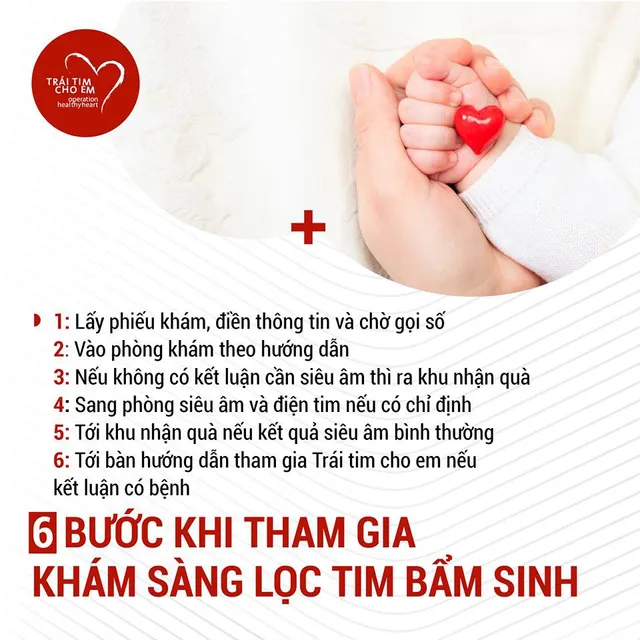 Khám sàng lọc tim bẩm sinh miễn phí cho trẻ em dưới 16 tuổi tại tỉnh Cao Bằng - Ảnh 2.