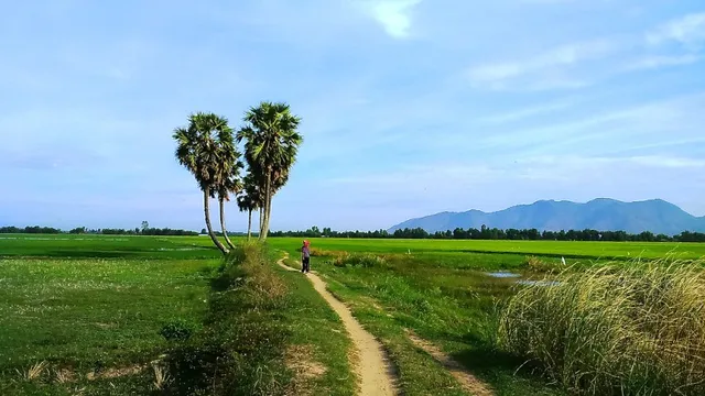 Độc đáo thốt nốt hình trái tim ở An Giang - Ảnh 1.