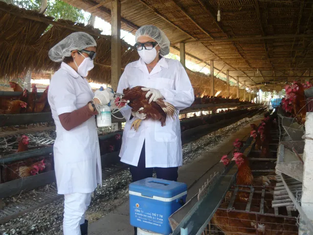 Bộ Y tế đề nghị các địa phương vào cuộc phòng chống dịch - Ảnh 1. Bộ Y tế đề nghị các địa phương vào cuộc phòng chống dịch - Ảnh 1.