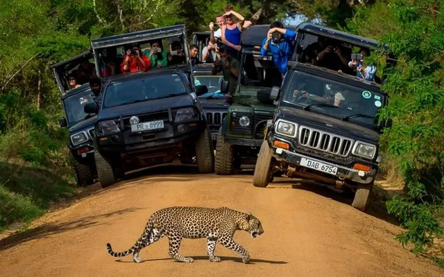 Những hình ảnh khiến bạn muốn tới Sri Lanka ngay trong năm 2019 - Ảnh 8.