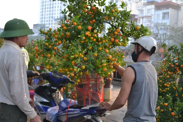 Ngày giáp Tết, mọi góc phố Hà Nội đều biến thành chợ hoa - Ảnh 5.