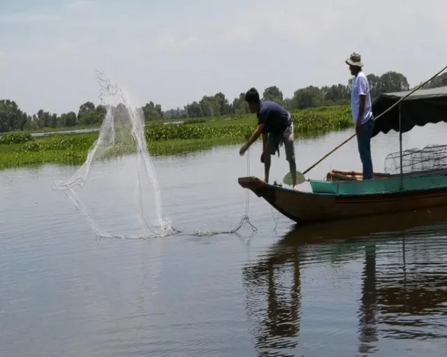 Trải nghiệm làm nông dân ở Đồng Tháp - Ảnh 2.