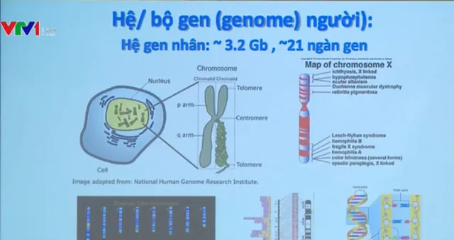 Giới thiệu kết quả nghiên cứu về bộ gen người Việt Nam - Ảnh 1.