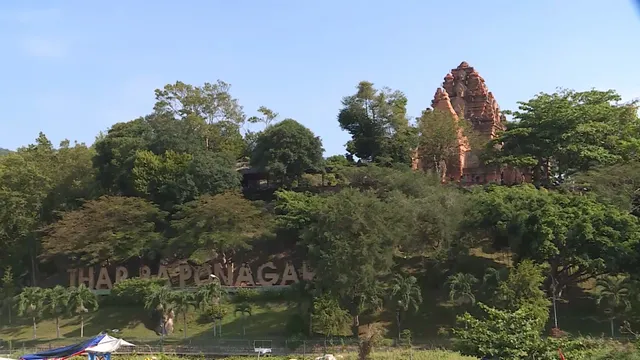 Khuyến mãi bus du lịch