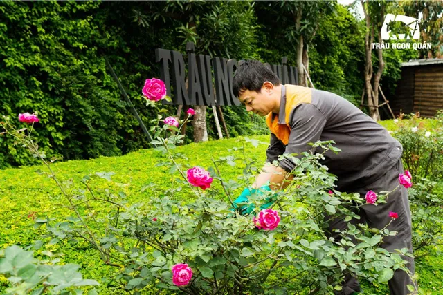 Trải nghiệm ấn tượng tại nhà hàng với không gian độc đáo đất Hà Thành - Ảnh 3.