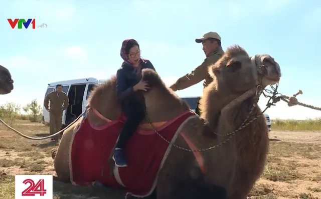 Trải nghiệm hành trình khám phá cao nguyên Kalmykia trên lưng lạc đà - Ảnh 1.