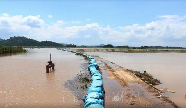 Đê bao Quảng Điền xuống cấp nghiêm trọng - Ảnh 2.