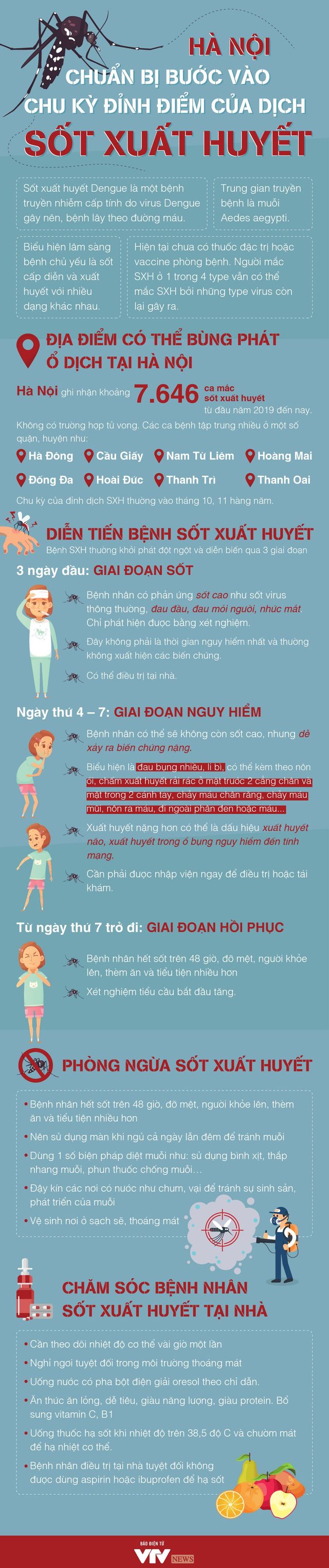 [Infographic] - Những lưu ý khi dịch sốt xuất huyết sắp vào chu kỳ đỉnh điểm tại Hà Nội - Ảnh 1.