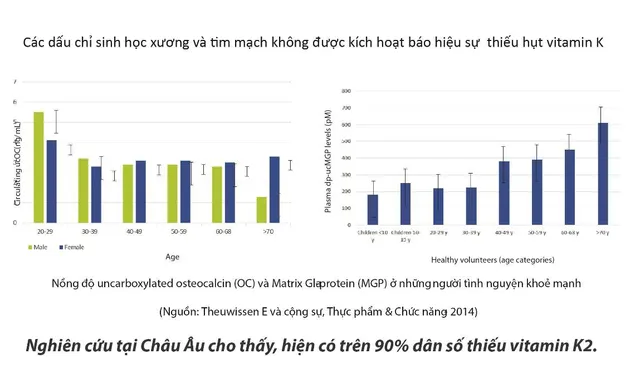 Tăng chiều cao cho con: Dinh dưỡng, vận động, nghỉ ngơi và Vitamin K2 MK7 MenaQ7 - Ảnh 2. Tăng chiều cao cho con: Dinh dưỡng, vận động, nghỉ ngơi và Vitamin K2 MK7 MenaQ7 - Ảnh 2.