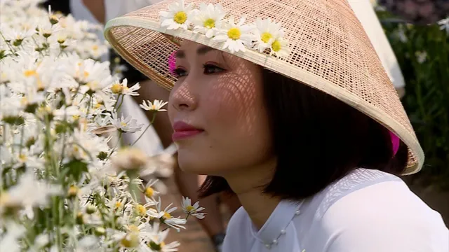 Chủ vườn cúc họa mi “hốt” bạc triệu mỗi ngày - Ảnh 2.