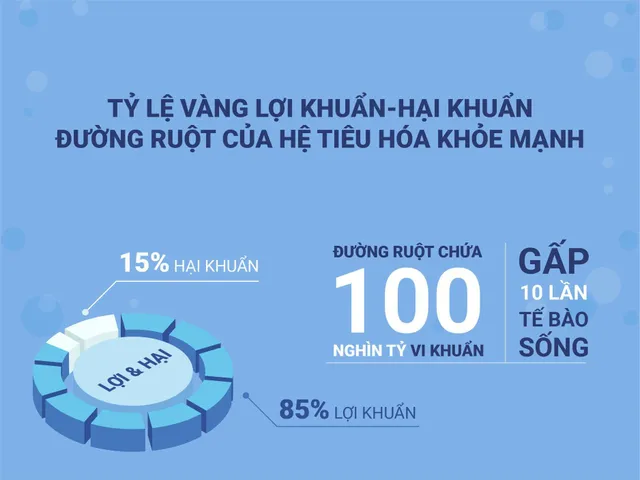 Bổ sung men vi sinh khi uống kháng sinh: Nên hay không? - Ảnh 1.