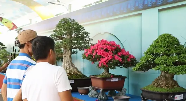 50 quốc gia tham gia Lễ hội Bonsai và Suiseki châu Á - Thái Bình Dương - Ảnh 1.