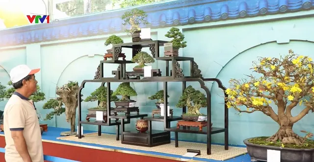 50 quốc gia tham gia Lễ hội Bonsai và Suiseki châu Á - Thái Bình Dương - Ảnh 2.