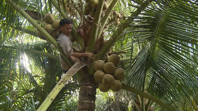 Người đàn ông tàn nhưng không phế