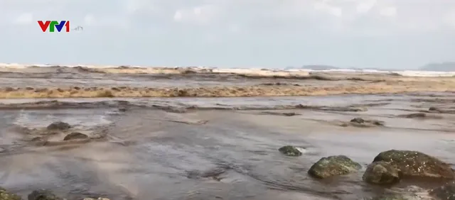 Nước biển màu đen ở Quảng Ngãi không có mùi lạ - Ảnh 1. Nước biển màu đen ở Quảng Ngãi không có mùi lạ - Ảnh 1.