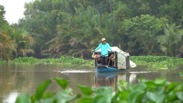 Ghe hàng trên sông nước miền Tây